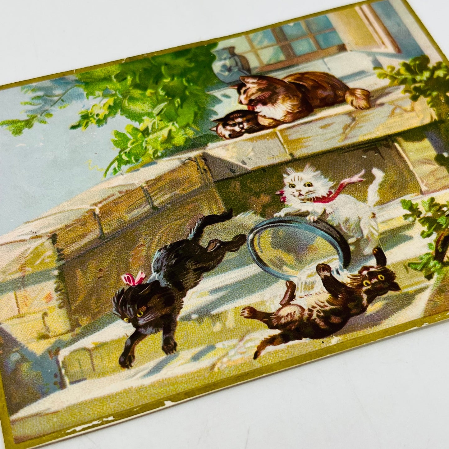 1880s Embossed Victorian Greeting Card Illustrated Kitty Cats Playing SAH9-H7
