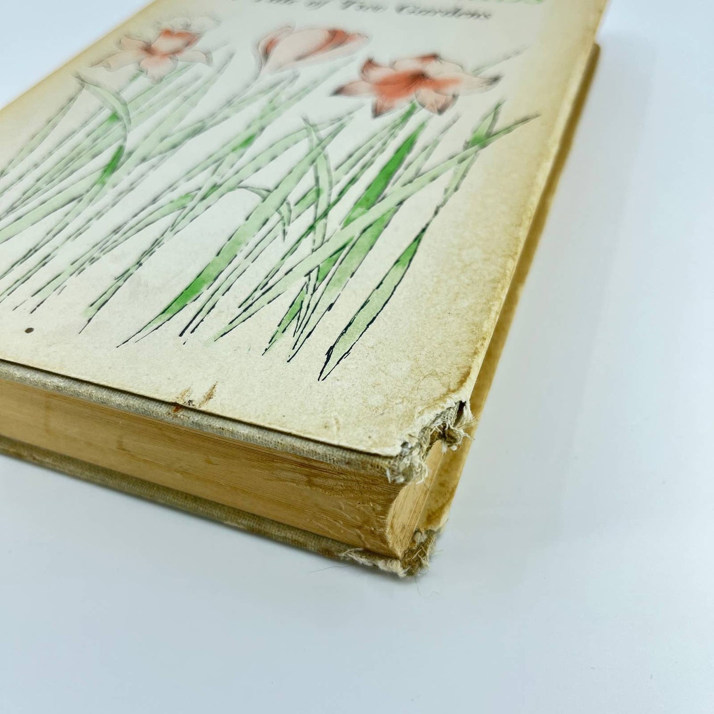 1957 The Little Bulbs: A Tale of Two Gardens H/C Dust Jacket TE7