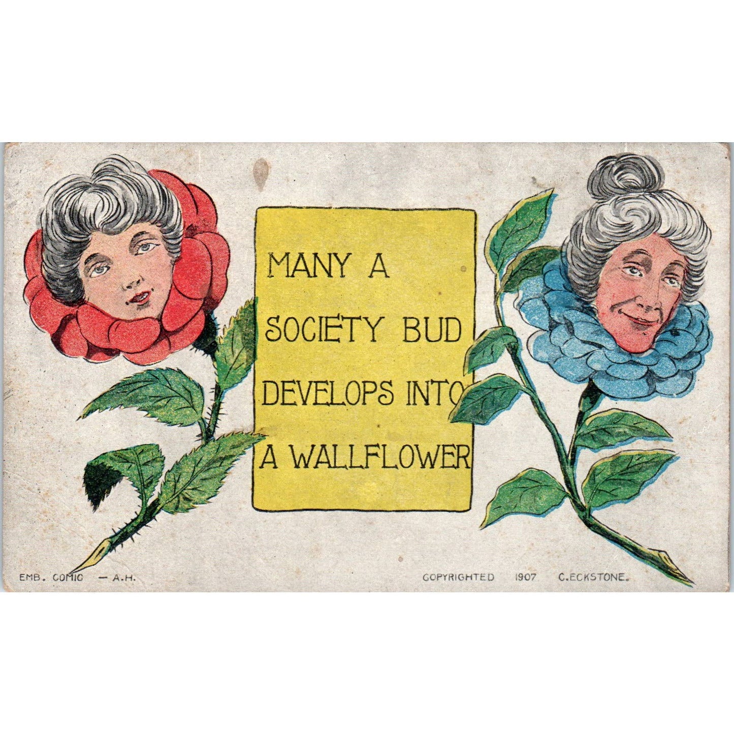 Society Wallflowers Face in Flower c. Eckstone 1907 Original Postcard TK1-27