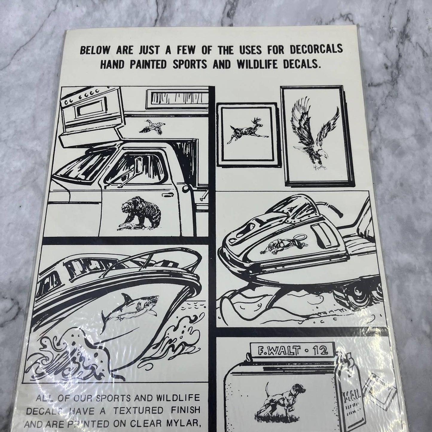 1986 NEW NOS Decorcal Sports & Wildlife Decal W-32 Bald Eagle Head FL5