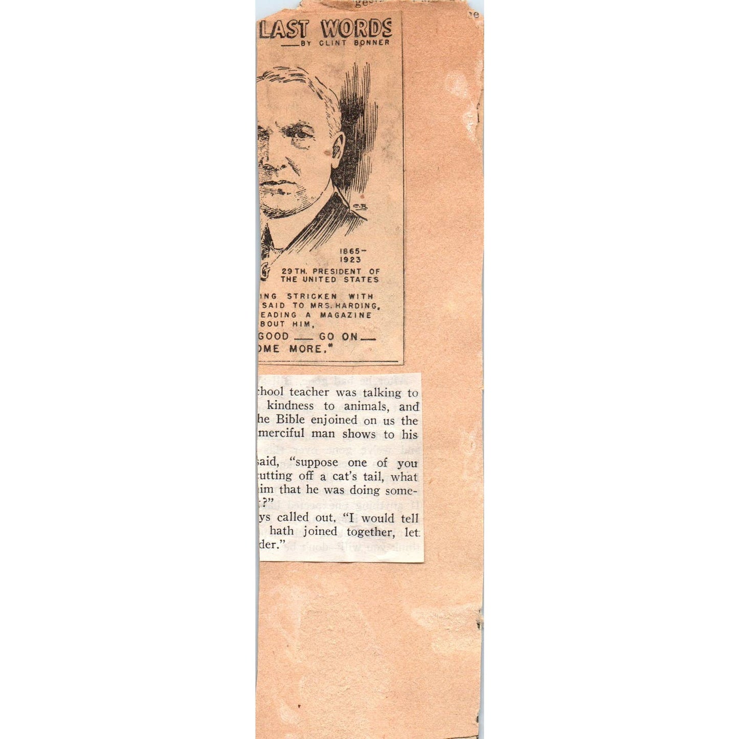 1960s Clipped Photo Seeing Eye Cat - Carolyn Swanson Hermosa Beach CA SF2
