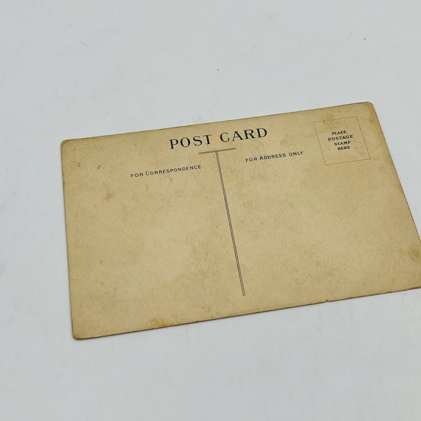 1910s Birthday Post Card Victorian Lady Holding Pink Long Stem Roses PA5