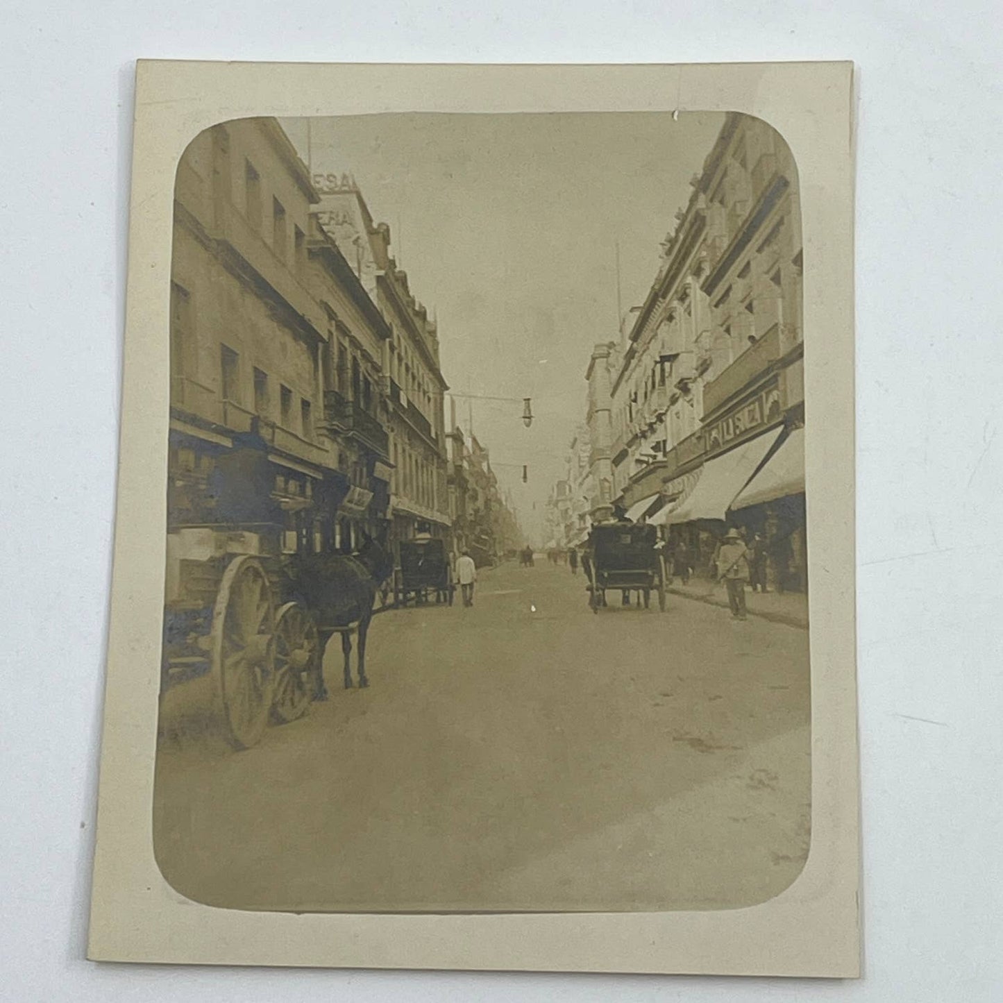 1903 Original Photograph Horse & Carriage on 1st Plateros Street Mexico City AC7