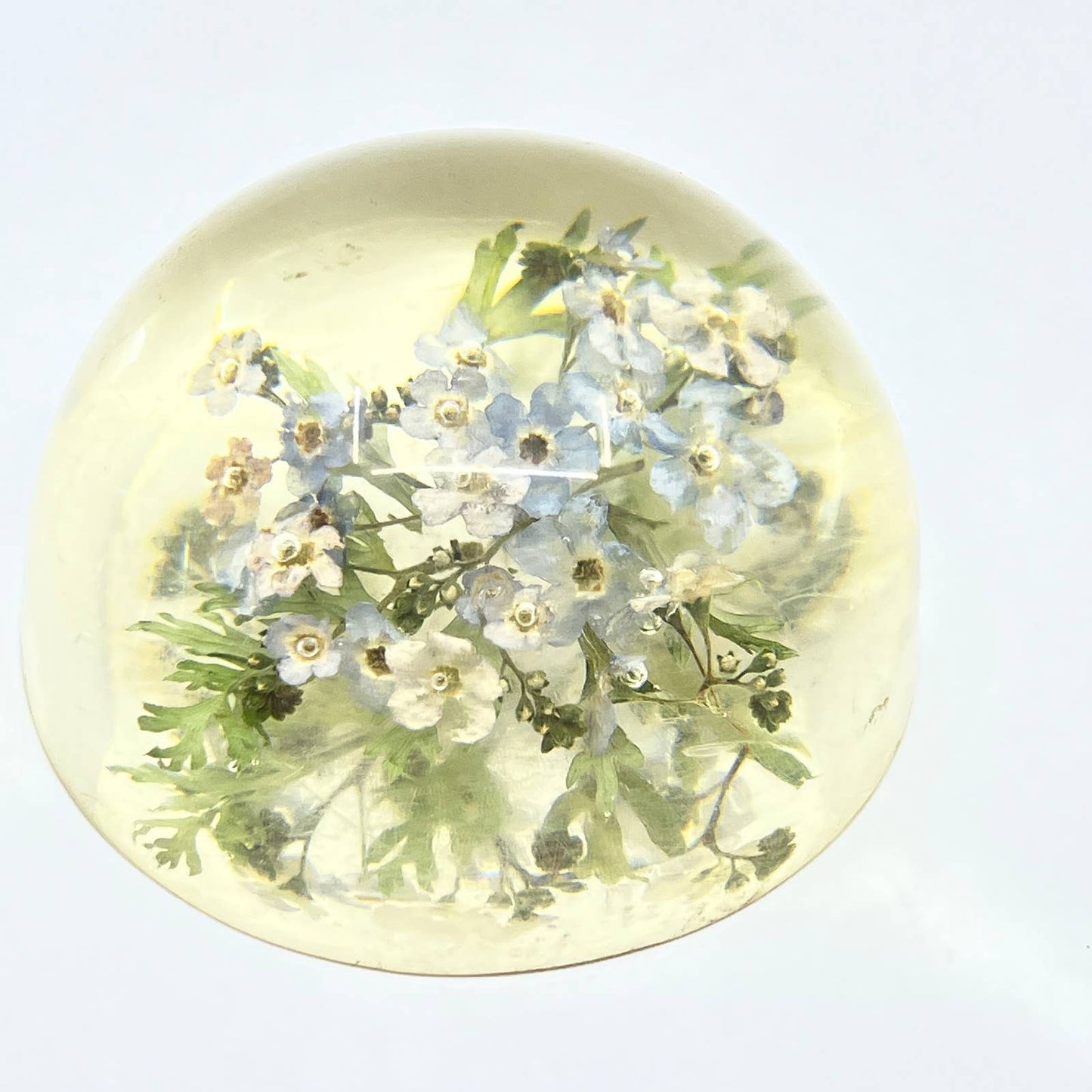 1960s Retro Kitsch Post Modern Lucite Paperweight Wild Flowers TC7