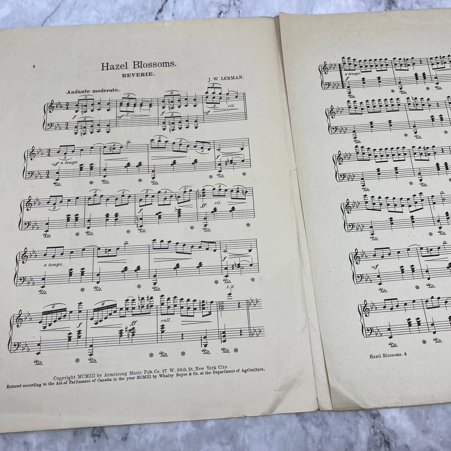1903 Sheet Music - Hazel Blossoms A Reverie by J.W. Lermam TH1
