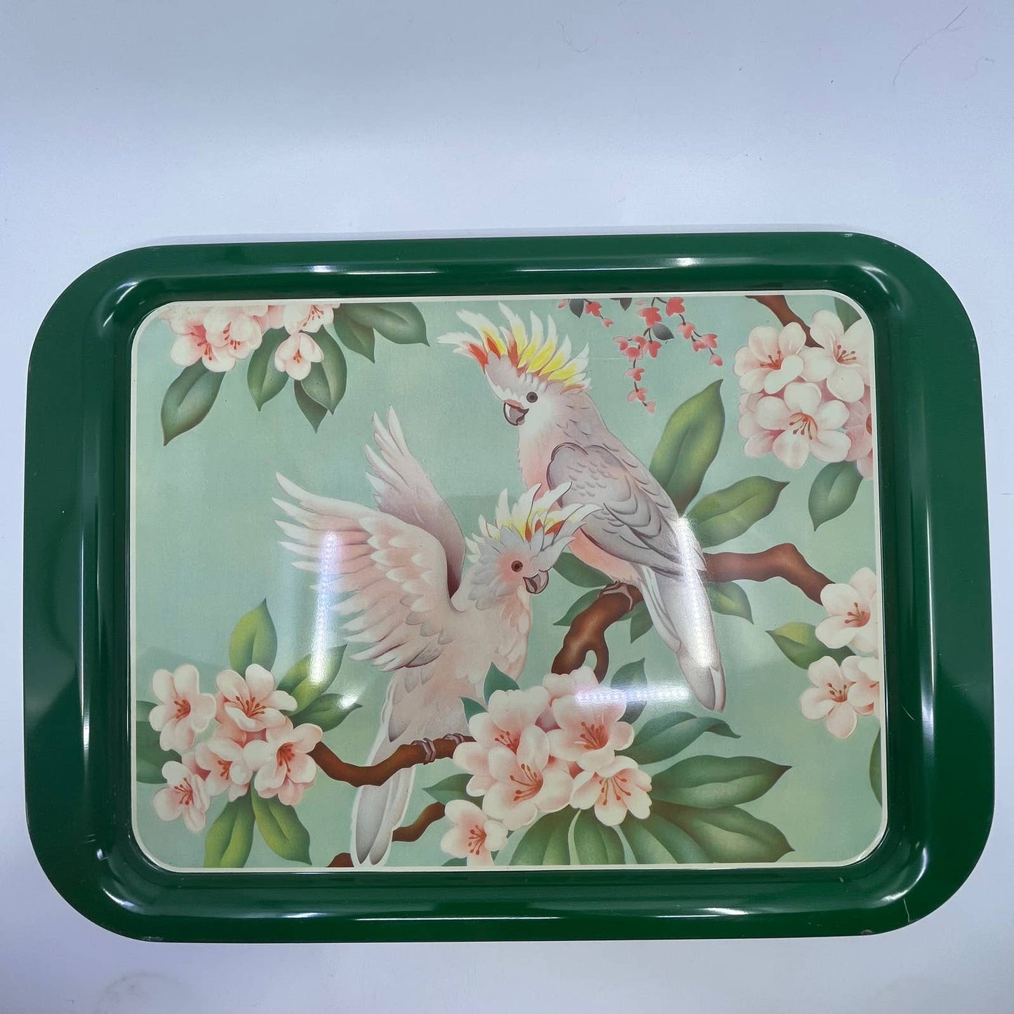 1950's Set of 4 MCM Cockatiel Tropical Toleware Tin Litho Trays 17.5 x 13” TH9-3P