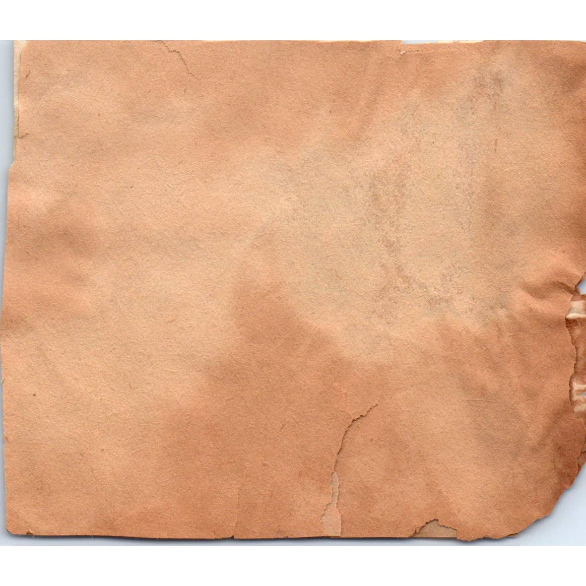 Vintage Beer Label Nevada Cerveza Estilo Pilsen Bavaria S.A. Santa Marta SF2