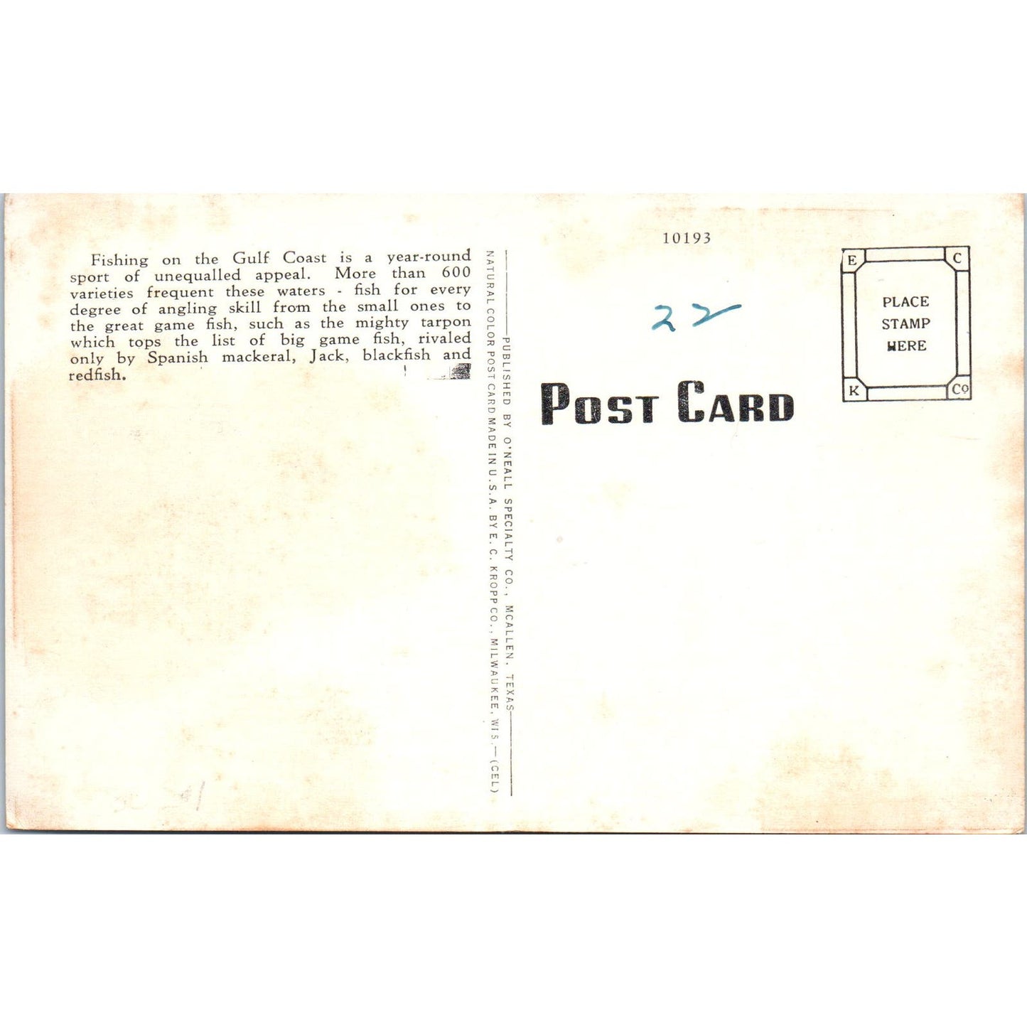 A Good Catch Fishing Fish on The Gulf Coast Original Postcard PB1