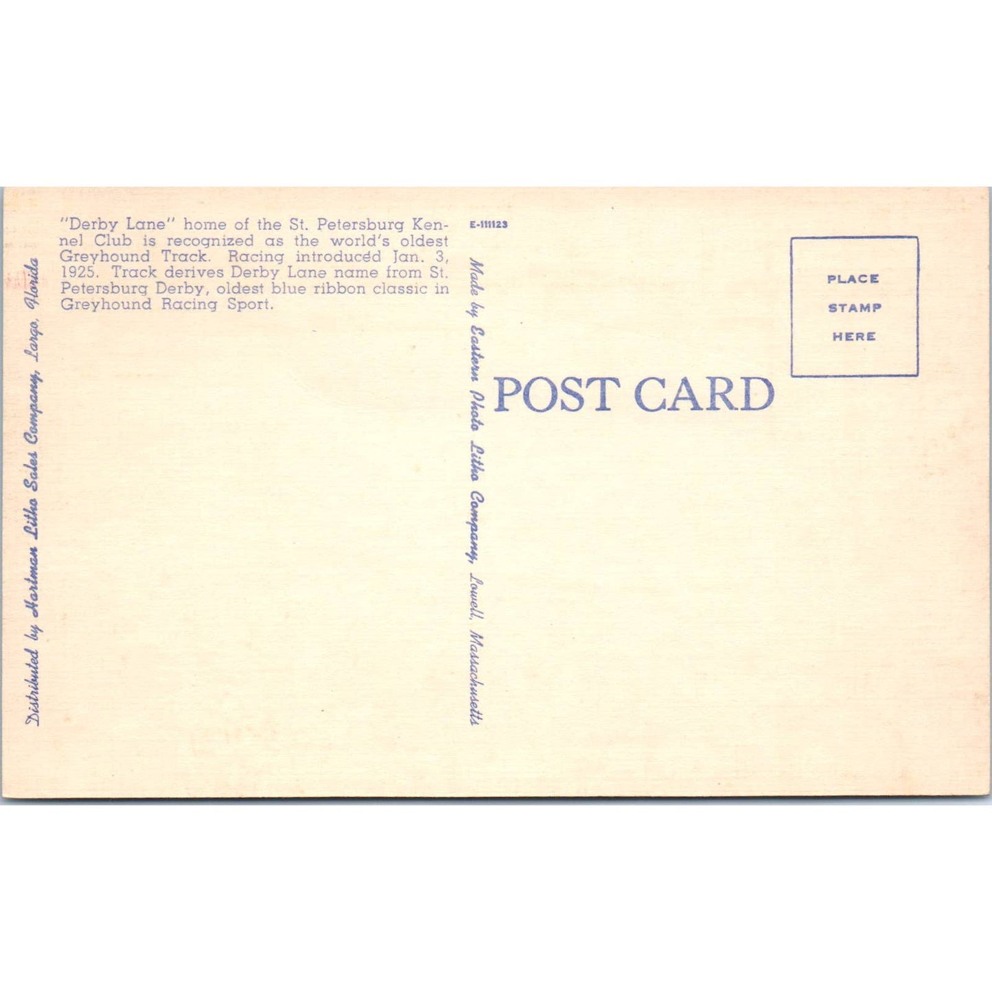 Derby Lane St. Petersburg Kennel Greyhound Track Night Crowd Postcard TK1-23