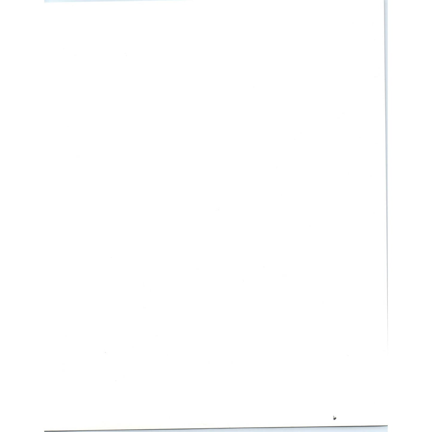 Vintage 8x10 Promo Photograph Billy Orwell Aerial Cloud Swing Circus Acrobat AD4