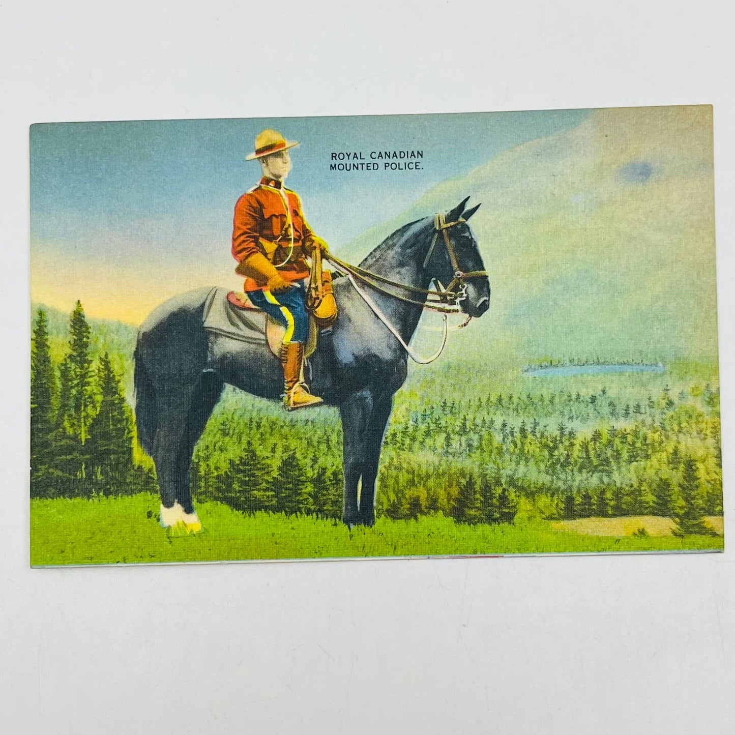 Vintage Postcard CANADA Royal Canadian Mounted Police Mountie Horse PA8