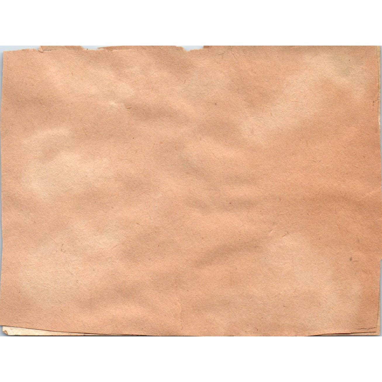 Antique Beer Label German Hamburger-Stern-Export Deetjen & Schroder SE4