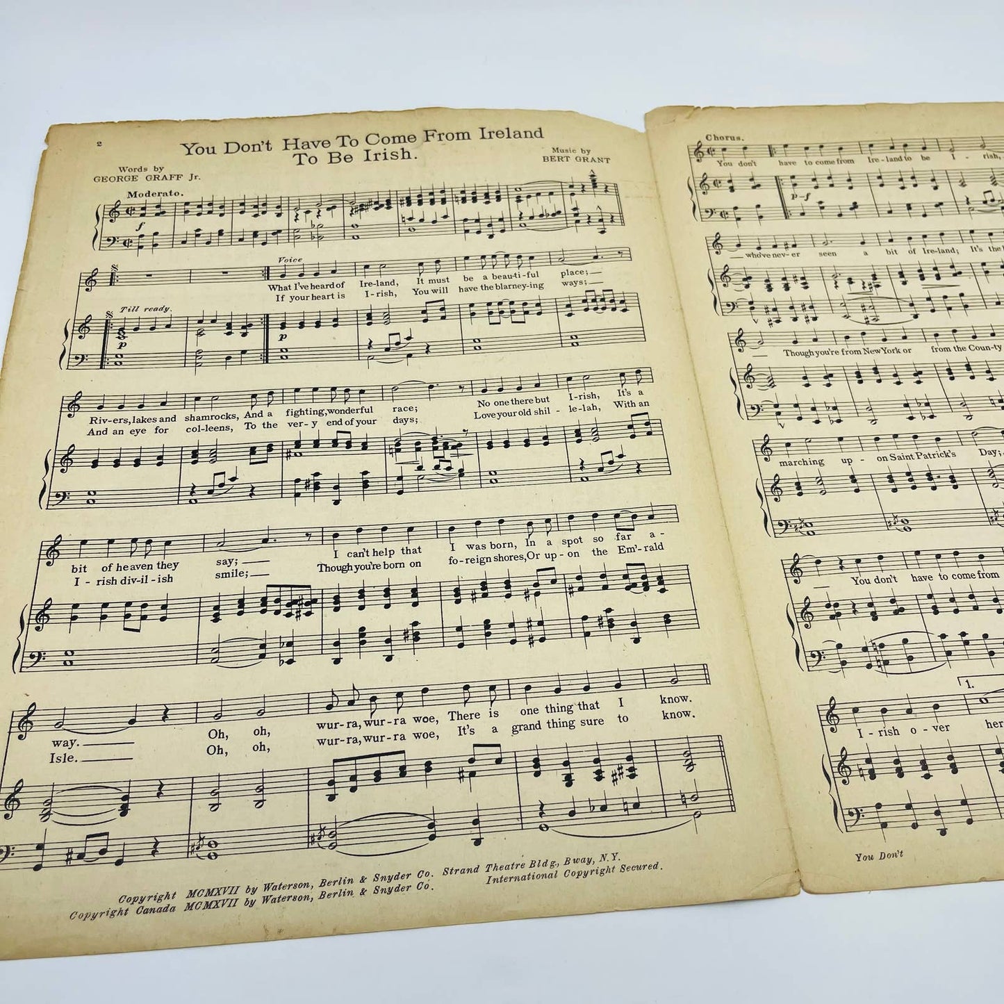 1917 Sheet Music You Don’t Have to be From Ireland to Be Irish M1