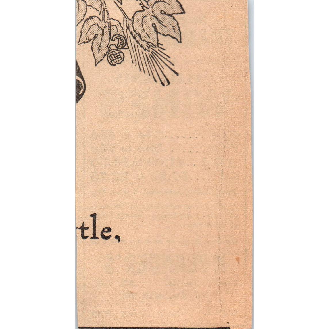 1935 Mpls Journal Newspaper Ad Nolander's Thanksgiving Wines So. 6th St. FL5-6