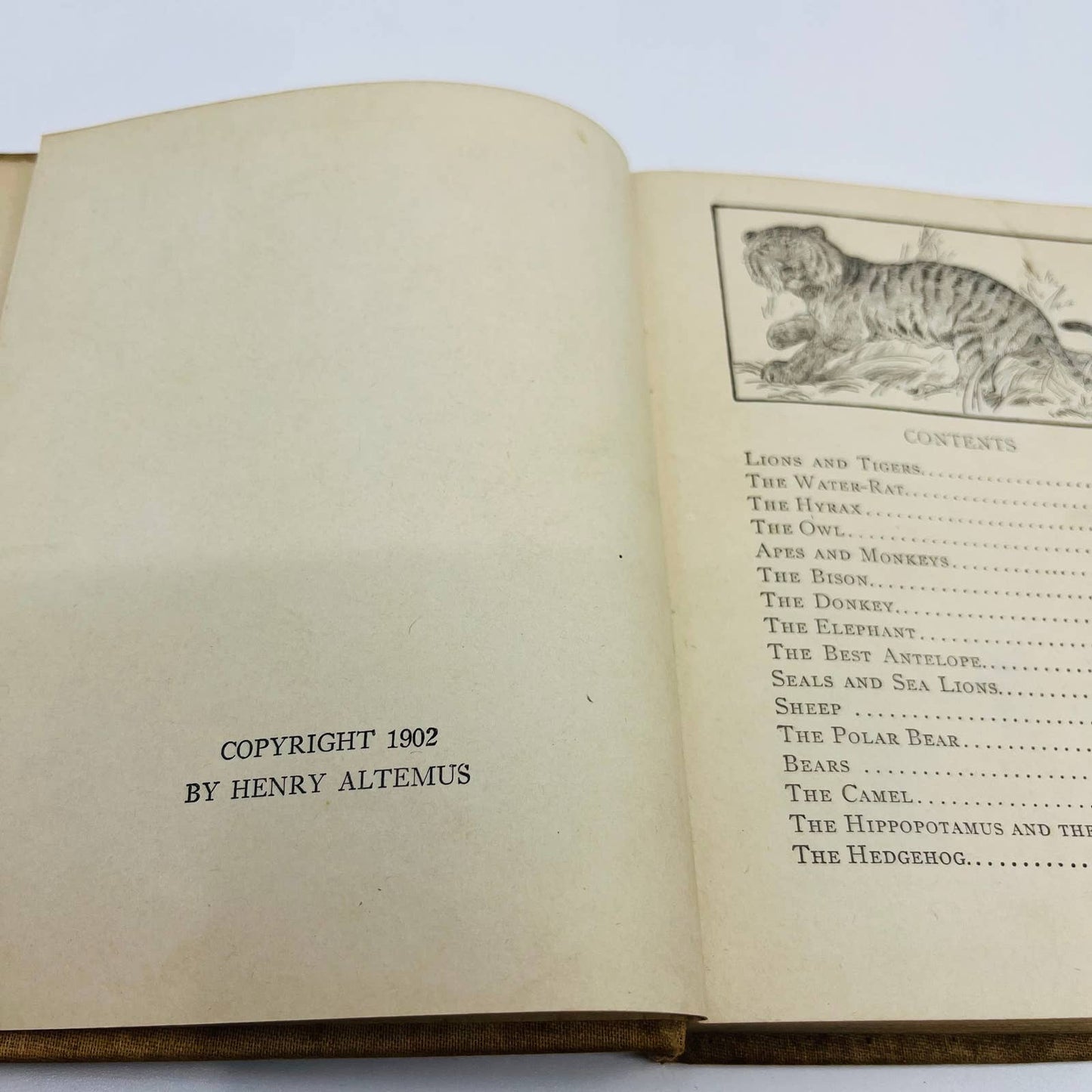 1902 Animal Stories for Little People - Children’s Book 70 Illustrations TD5