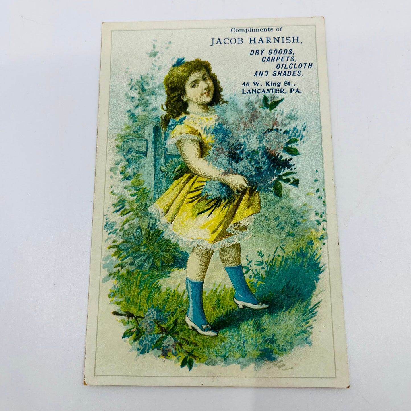 1880s Victorian Trade Card Lancaster PA Jacob Harnish Dry Goods Flowers SAH9-H7