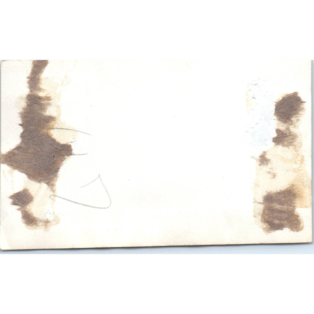 Vintage Photograph Farmer and Horse With Plow 2.5x4" SE5