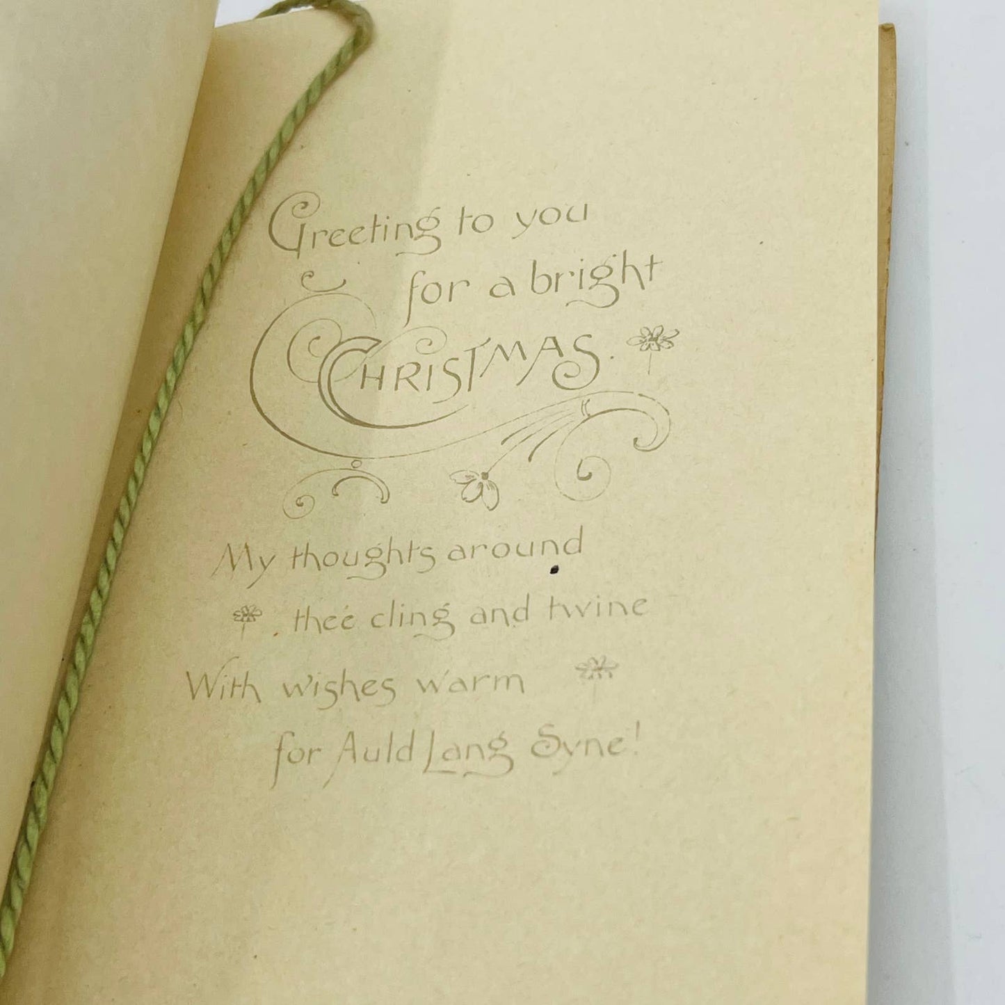 1910s Christmas Folding Card Die Cut Heavy Embossed Air Brushed Floral Gilt PA4