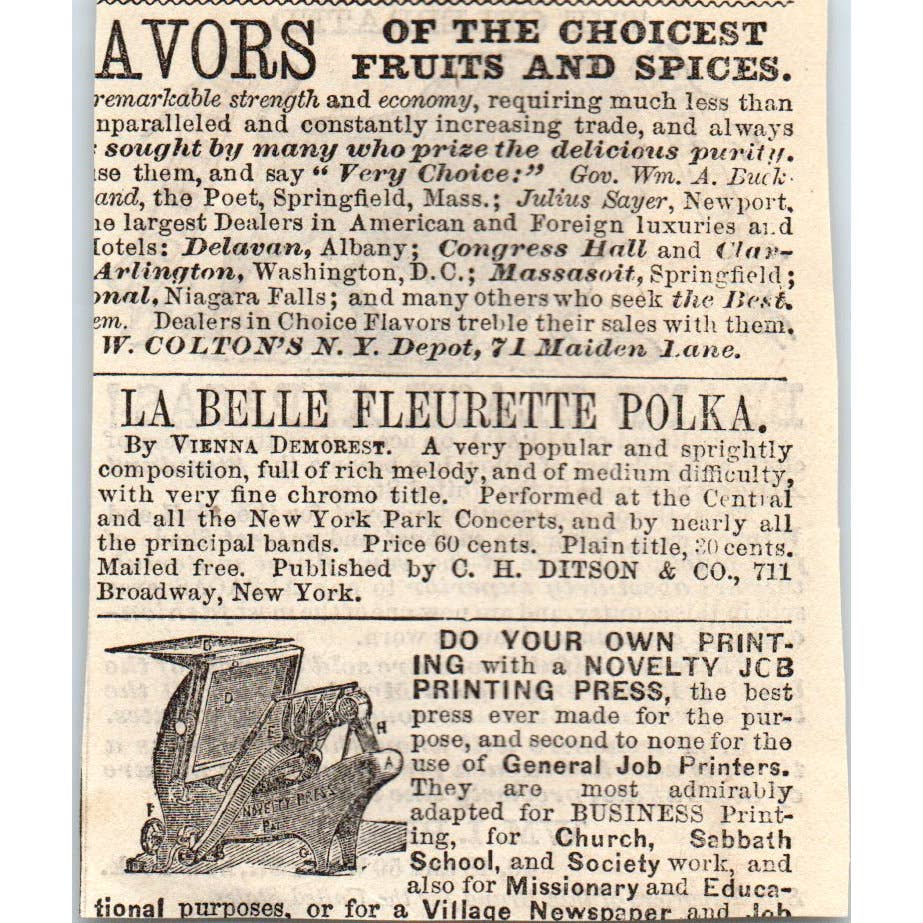 1878 Peterson's Magazine Ad - Brand Black Alpacas WM. I. Peake & Co NY SF2