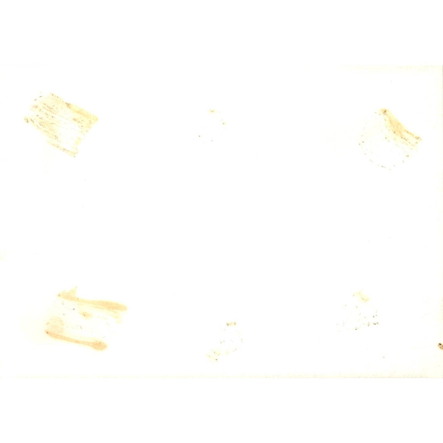 China Ambassador Tsiang Presenting Flag to Pres. Ward Original Photo 5x7 TK1-P4