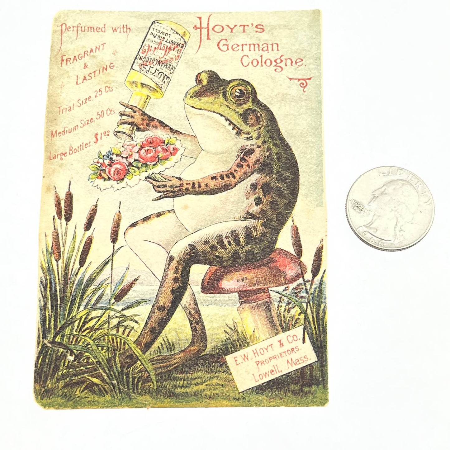 1880s Victorian Trade Card Hoyt's German Cologne Lowell Anthropomorphic Frog AC2