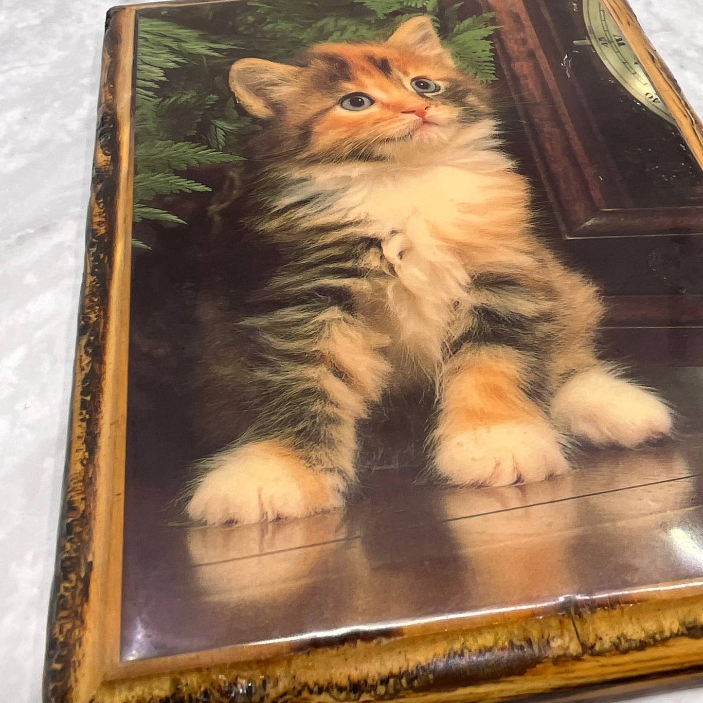 1970s Kitsch Wood Lacquered Mounted Decor Picture Calico Kitten 6x8" TI7