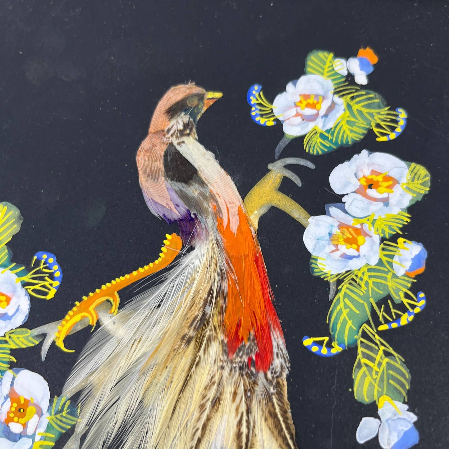 Antique Framed Feather Art Bird Postcard Made in Mexico 7x9.5 TI4