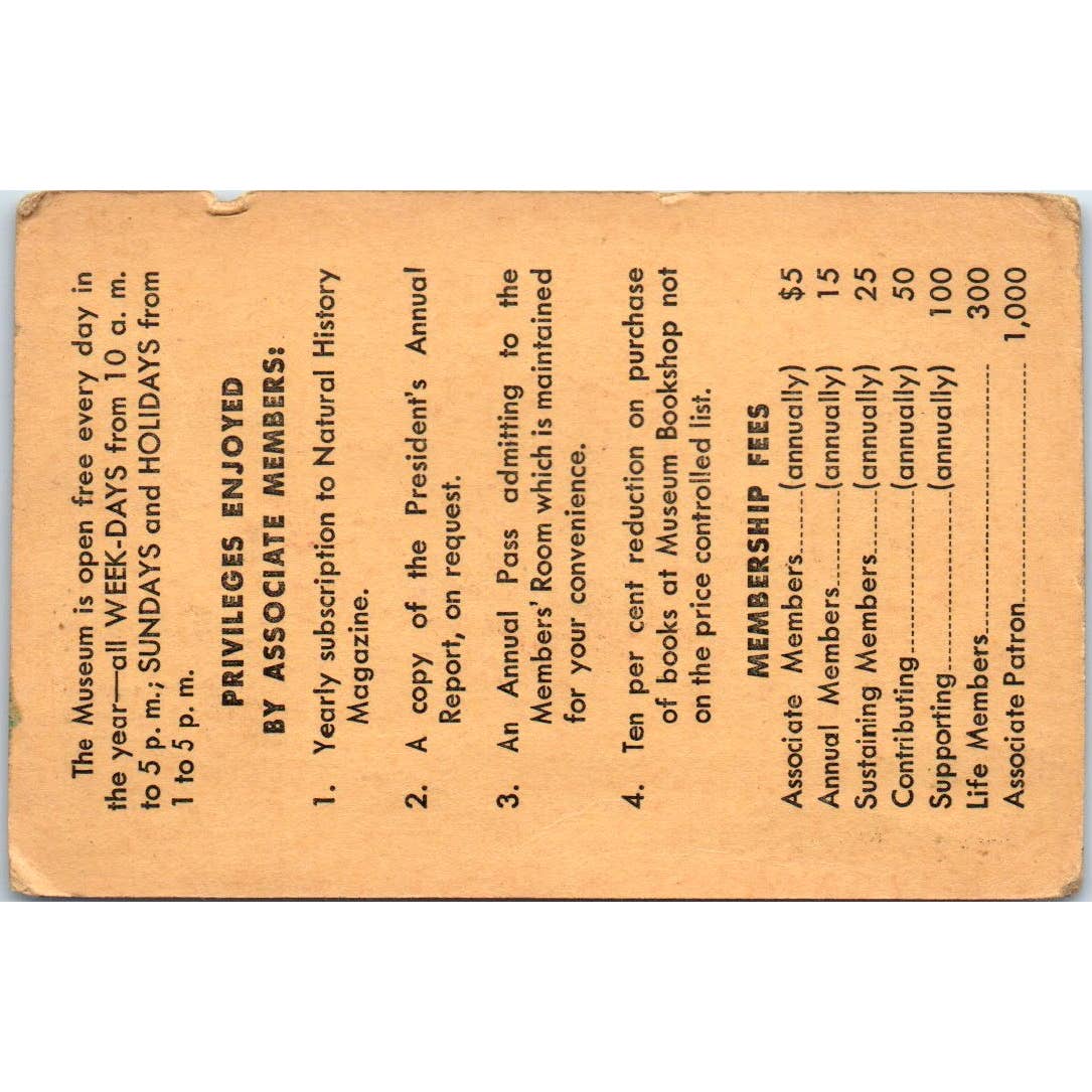 1962 The American Museum of Natural History Membership Card NYC SE5-2