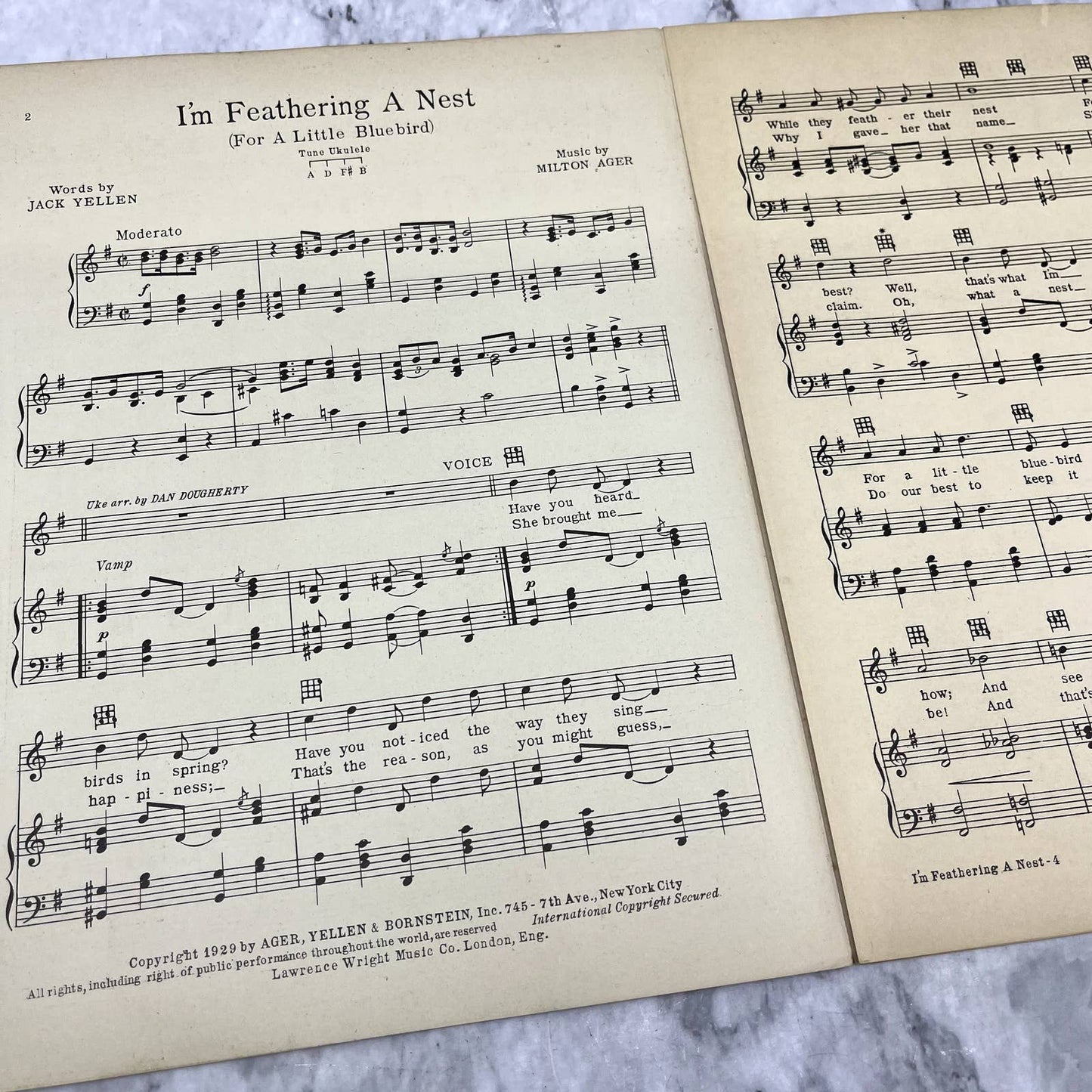 I'm Feathering a Nest Honky Tonk Sophie Tucker 1929 Sheet Music TK2-SM2