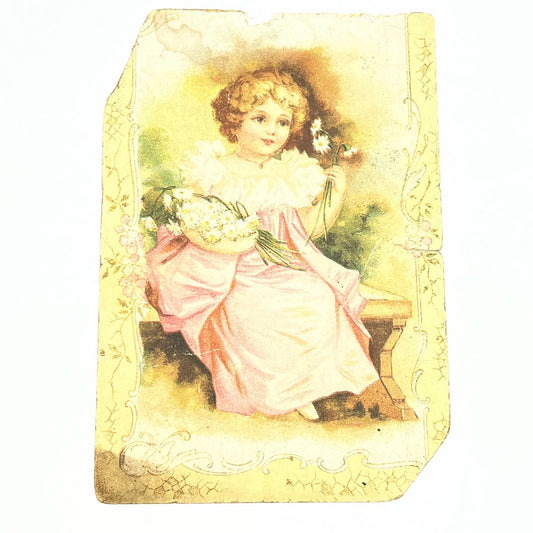 1880s Victorian Trade Card Crown Heating Stoves F.D. Yoder Oley PA AC2