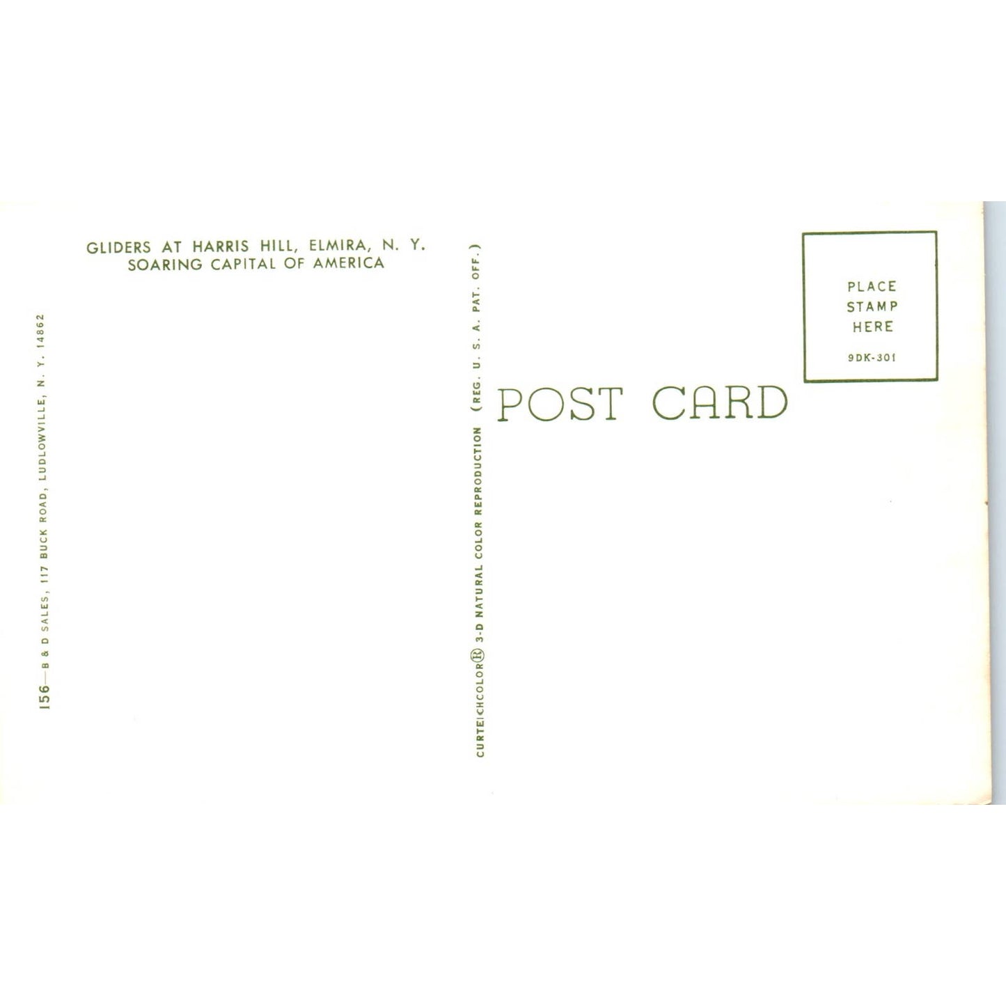 Gliders at Harris Hill Elmira NY - Original Postcard TJ9-P1