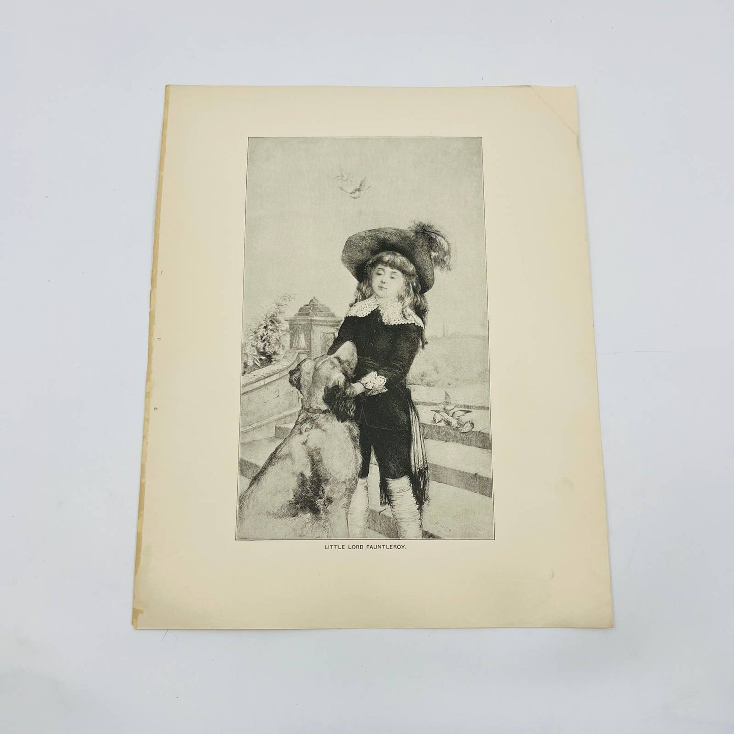 1880s Victorian Art Print Engraving Burnett LITTLE LORD FAUNTLEROY FM Spiegle
