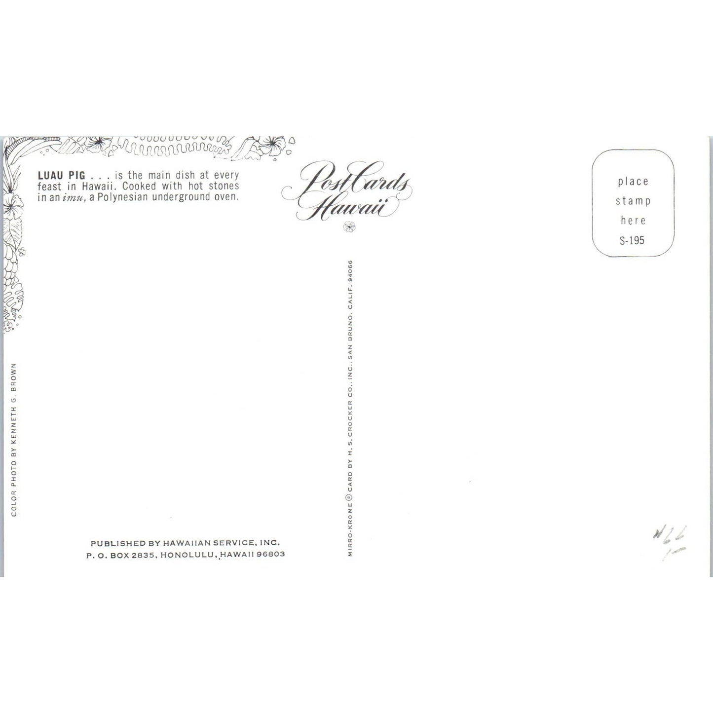 Luau Pig, Hawaii Original Postcard TK1-P13
