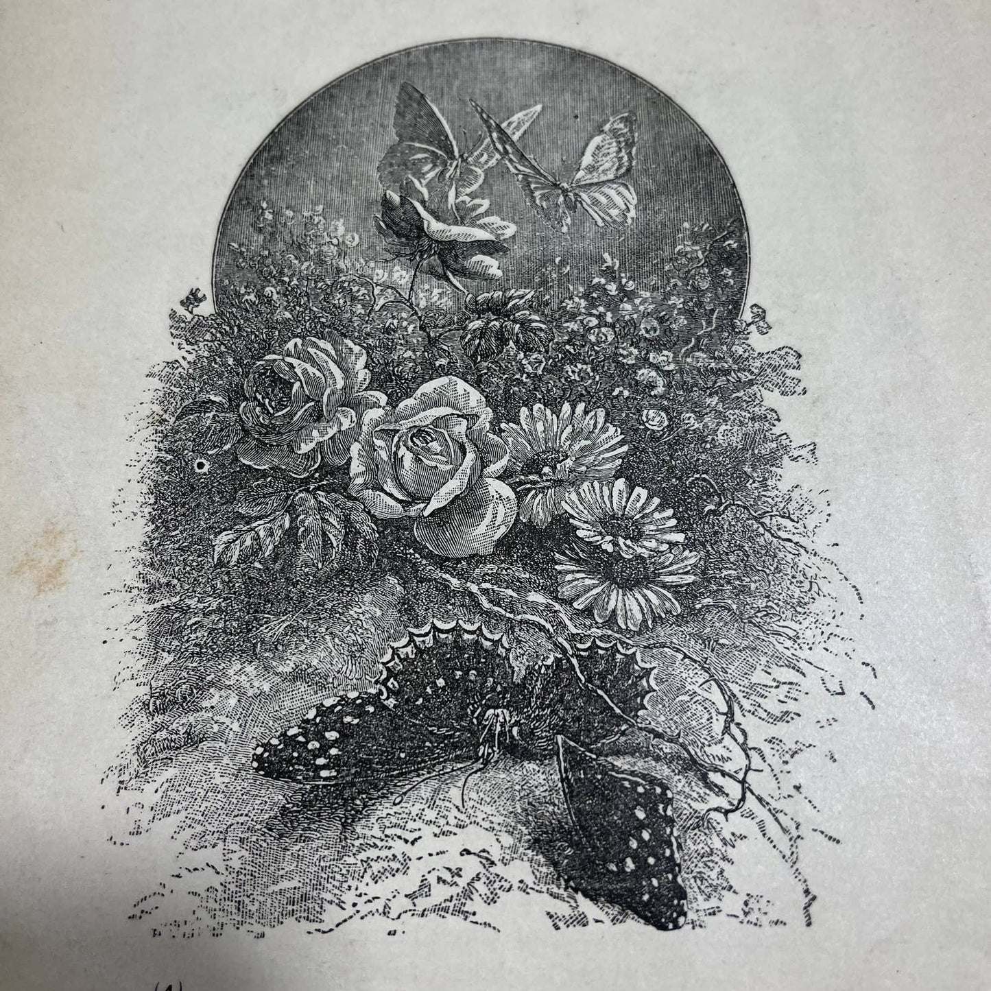 Perfect jewels- 1886 - stories on life, love and religion - Full Page Engravings