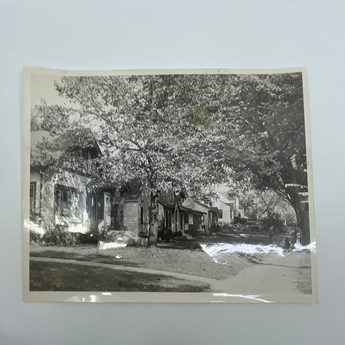 1955 Star Tribune Newspaper Original Photograph Elliot MPLS MN AC4-2