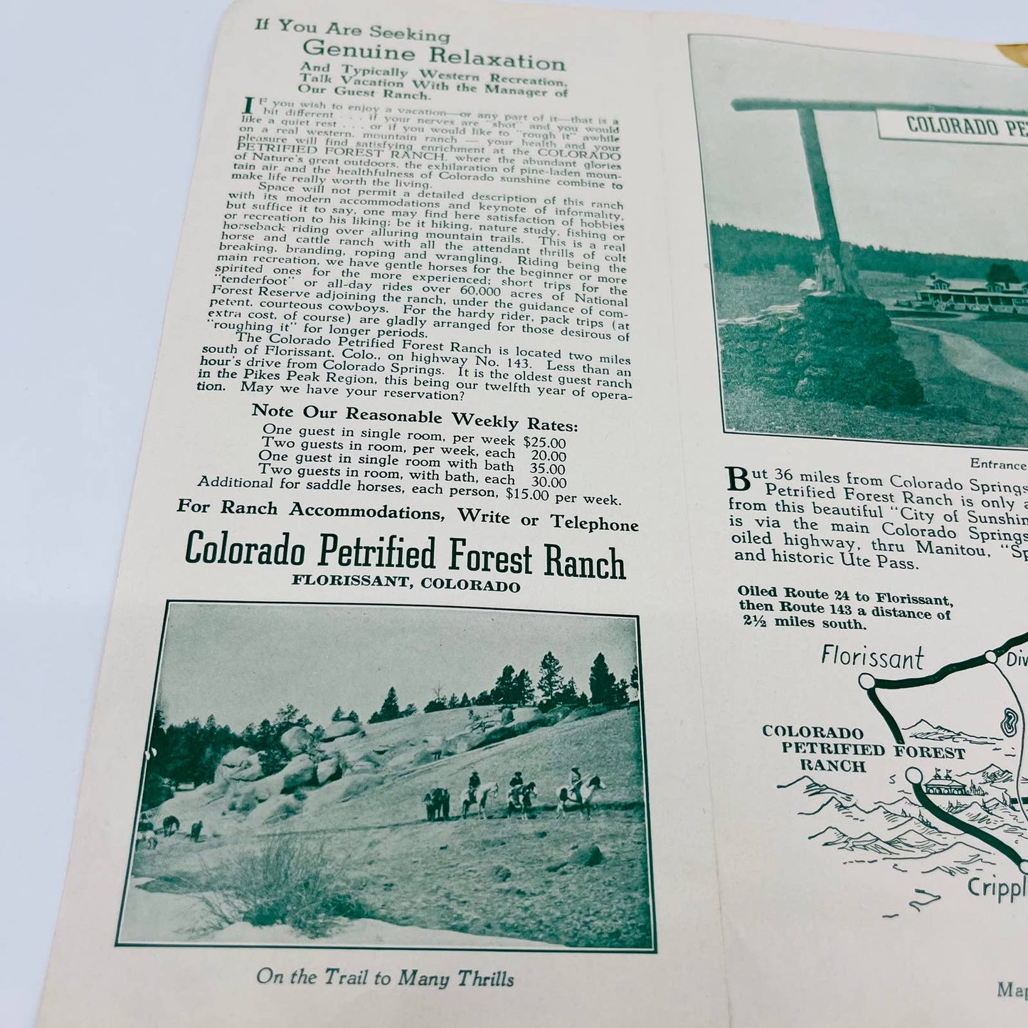 Vintage 1950s Pike’s Peak Colorado Petrified Forest and Guest Ranch Brochure EA1