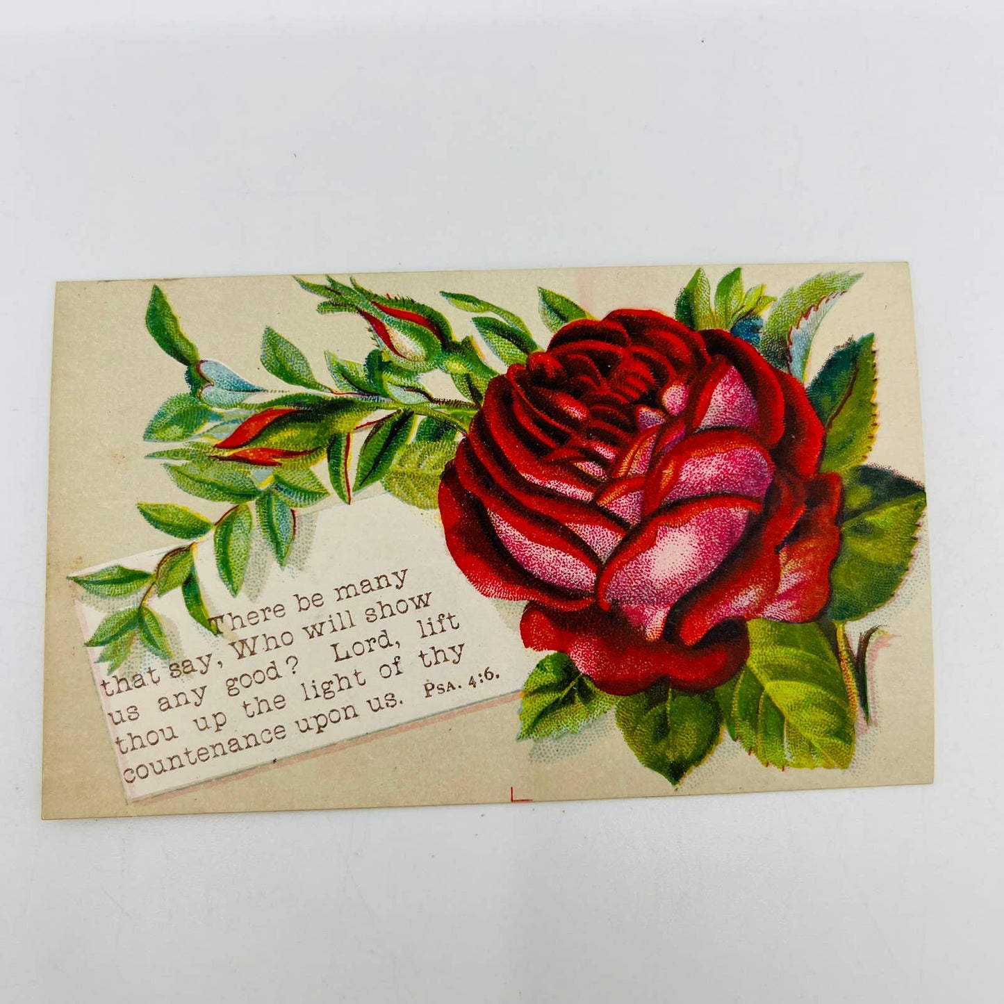 1880s Victorian Christian Verse Card Psalms 4:6 Red Rose AA2