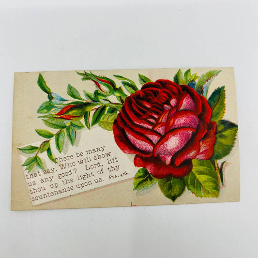 1880s Victorian Christian Verse Card Psalms 4:6 Red Rose AA2