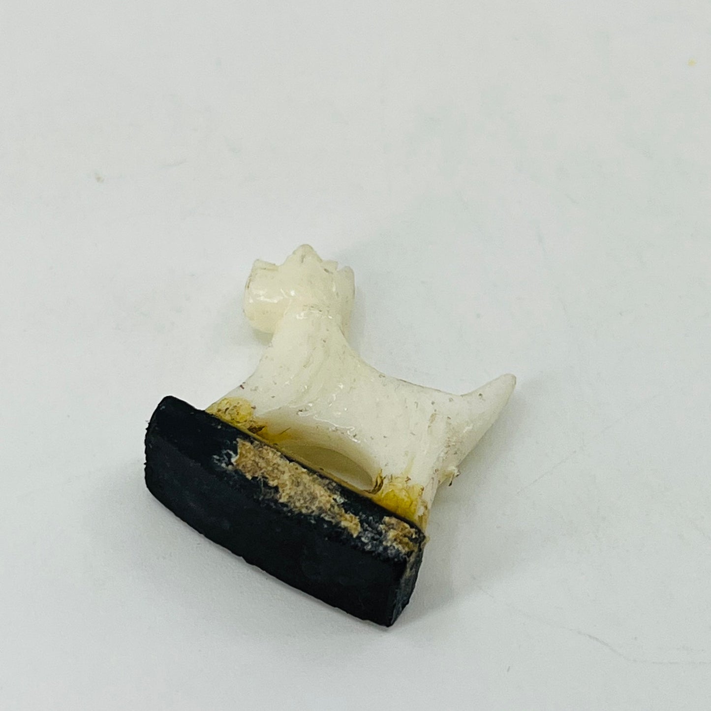 Vintage Mini White Celluloid Scottish Terrier Scotty Dog Magnet 1” SB2