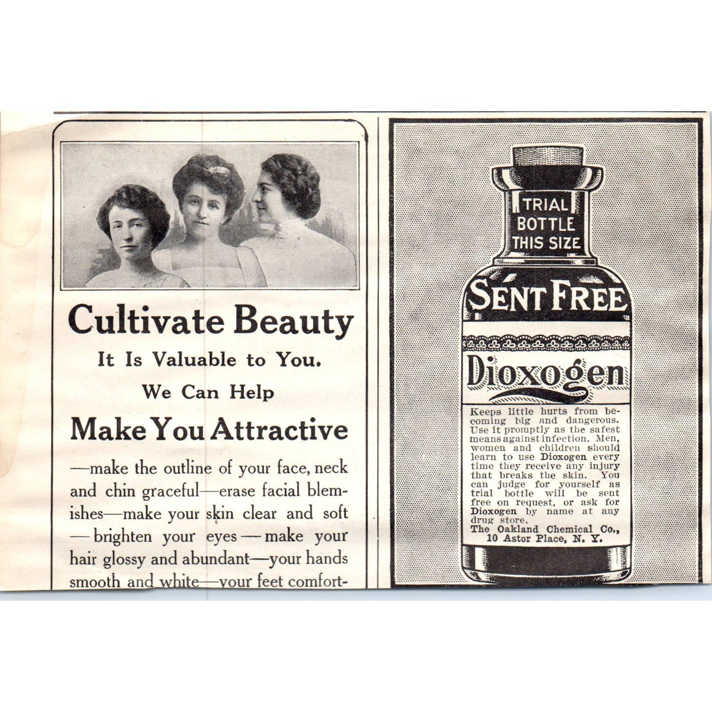 c1920 Harper's Magazine Ad - Bake Your Beech-Nut Bacon Canajoharie NY EA3