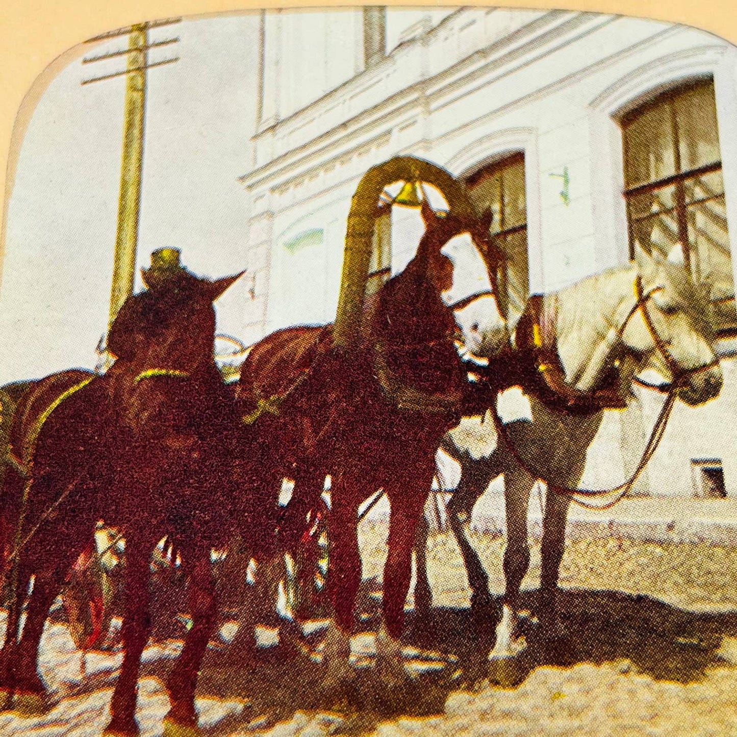c1900 Lot of RUSSIA Stereoview Cards Troika St. Petersburg Cascade Terrace TA7-7