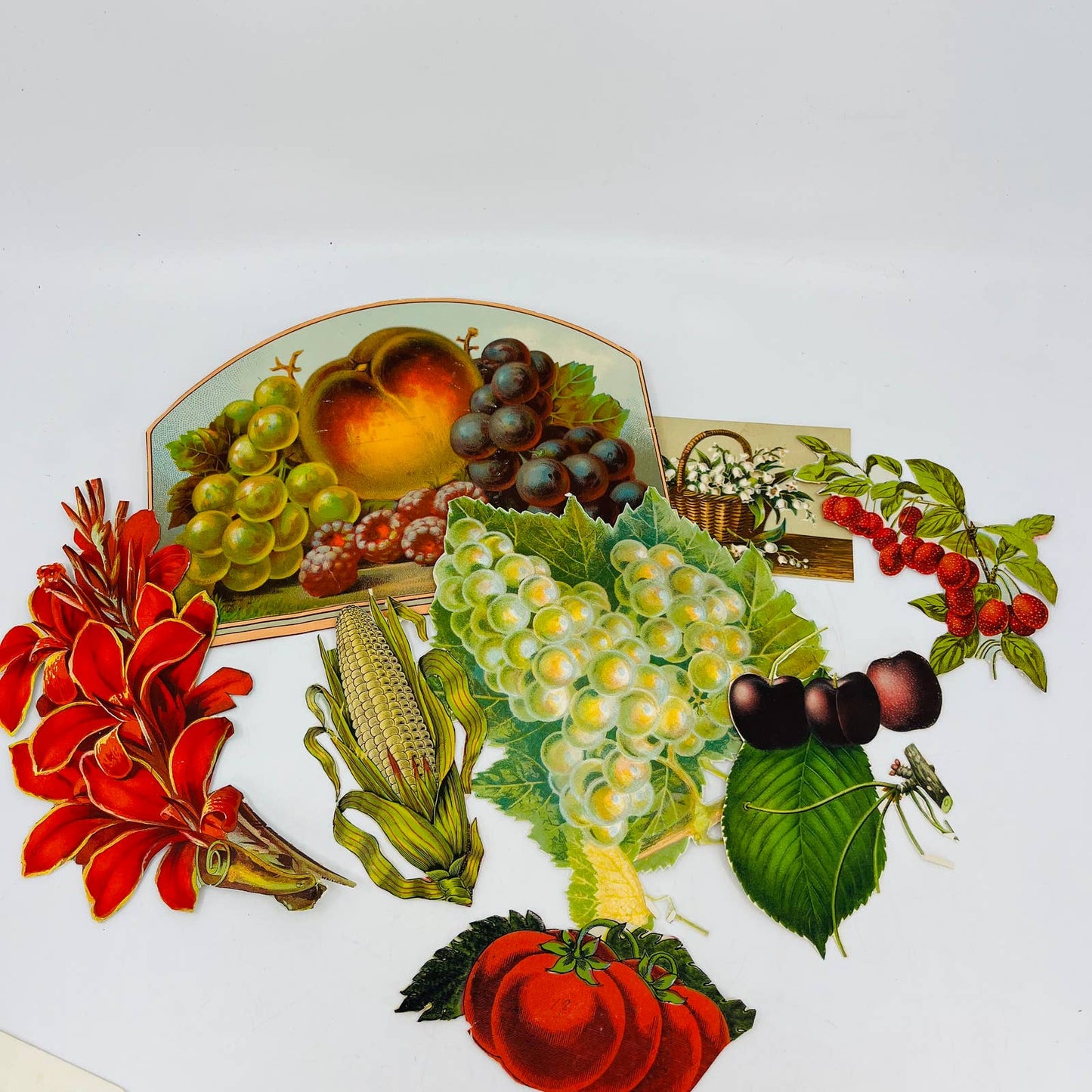 ANTIQUE Lot of 8 Victorian Lithograph Cut Outs Fruit Vegetable Flora AA3
