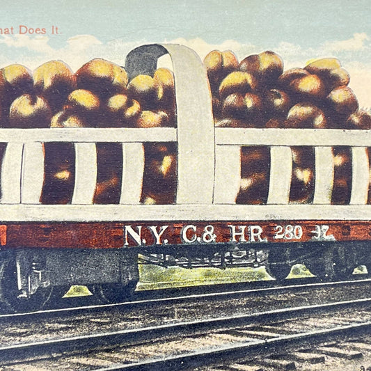 1919 Post Card NY C & HR 280 RR Train Car SC9