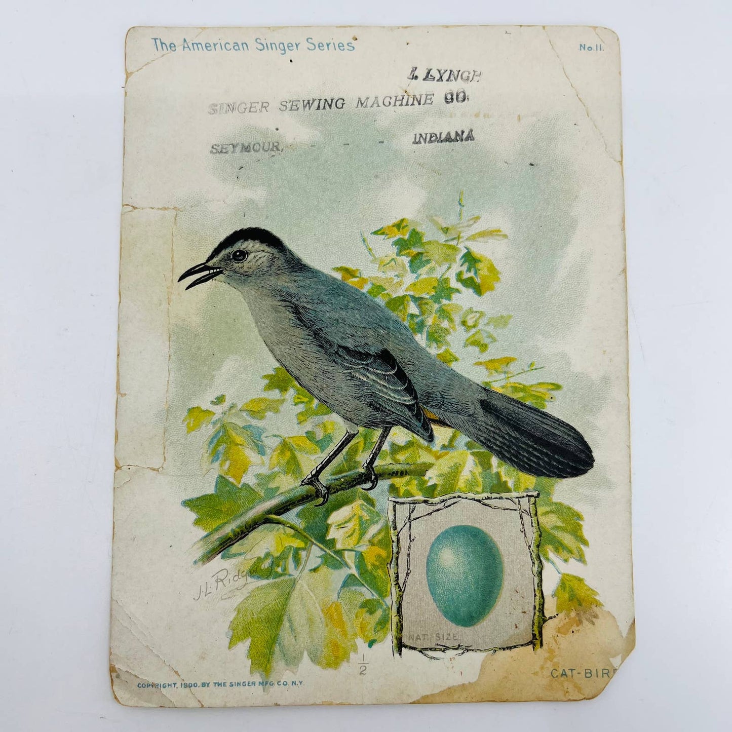 1900 Large Victorian Trade Card Singer Sewing Machines Cat Bird AA5