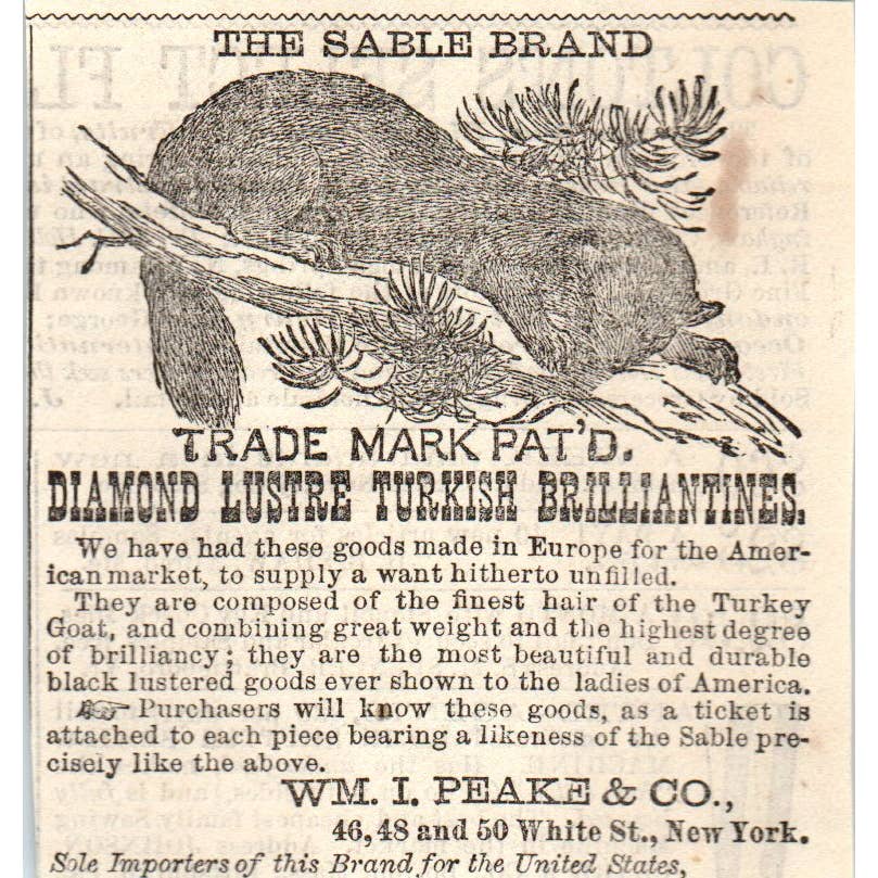 1878 Peterson's Magazine Ad - Sable Brand Furs WM. I. Peake & Co NY SF2