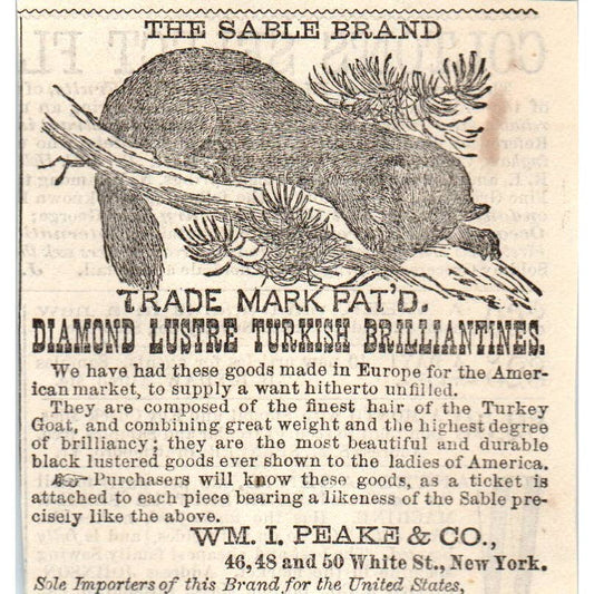 1878 Peterson's Magazine Ad - Sable Brand Furs WM. I. Peake & Co NY SF2