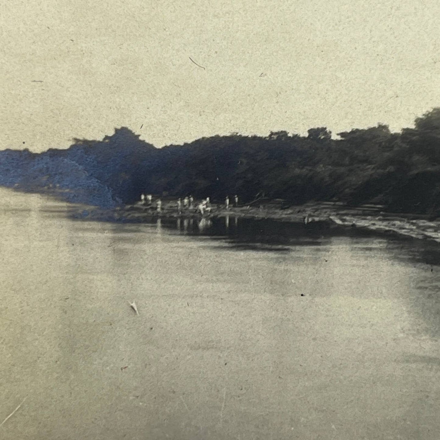 1903 Original Sepia Photograph Chaining Together Mahogany Logs Monte Cristo AC7