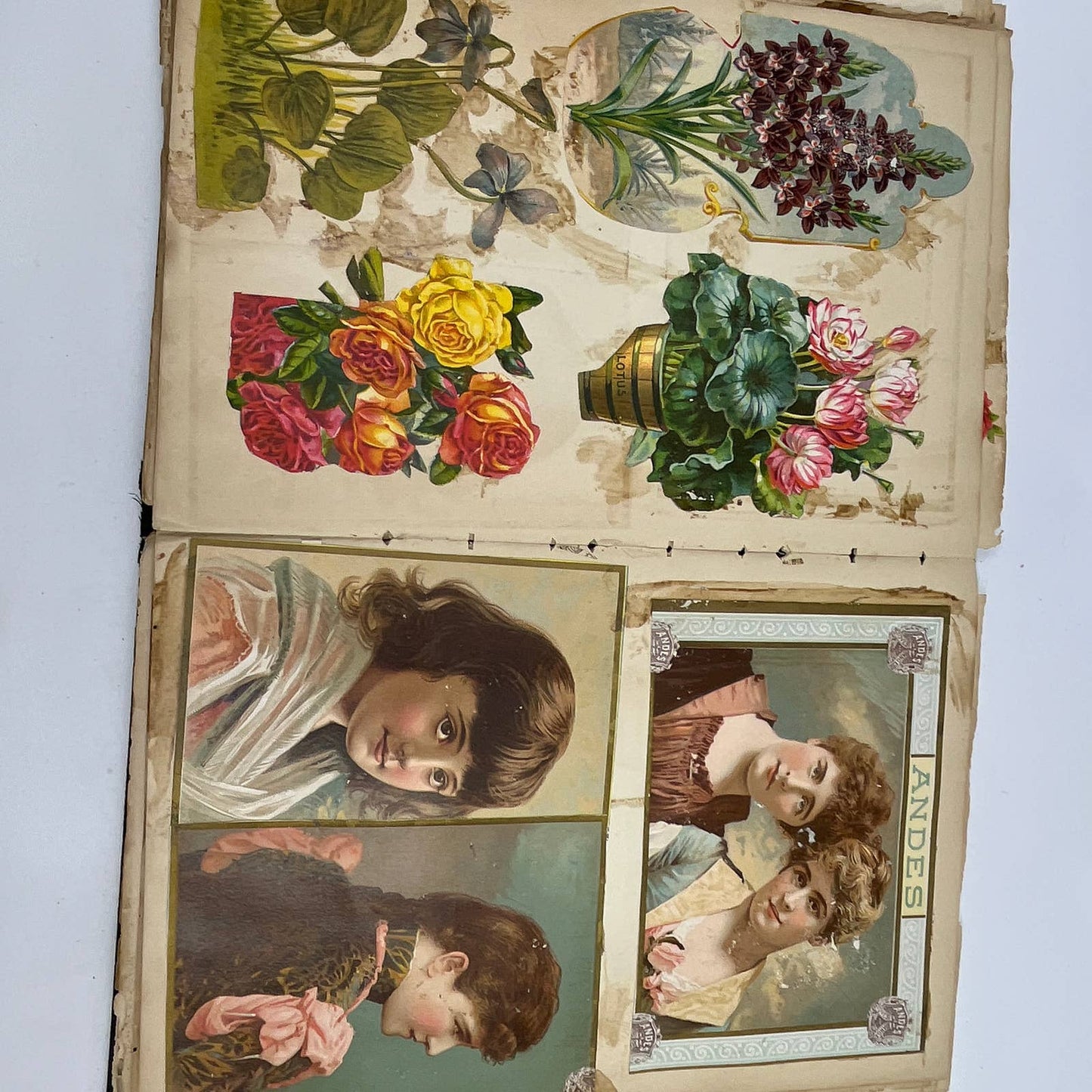 1880s -1910s LOADED Victorian Scrapbook From Richmondville NY TG3