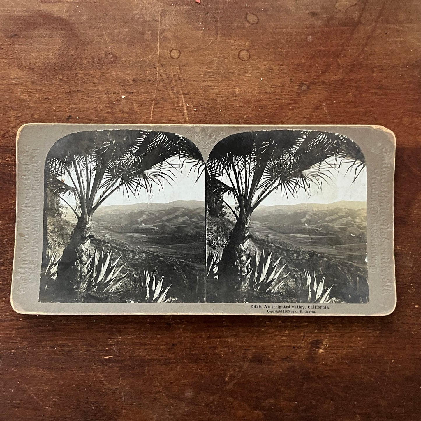 An Irrigated Valley in California 1900 Antique Stereoview Card TJ9-V1