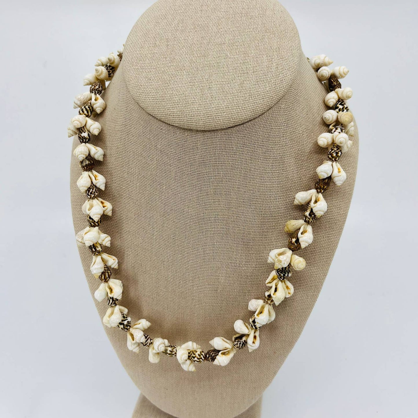 Vintage Boho Long Chunky Tiny Seashell Necklace SB2